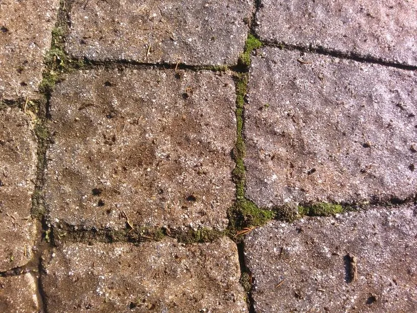 Affordable lawn mowing service for beautiful yards across Depew, NY - Marc's Pro Landscaping & Snow Removal