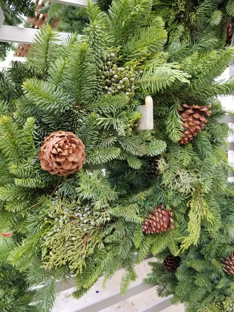 Custom landscape design for year-round maintenance in Ardmore, OK by Marcum's Nursery