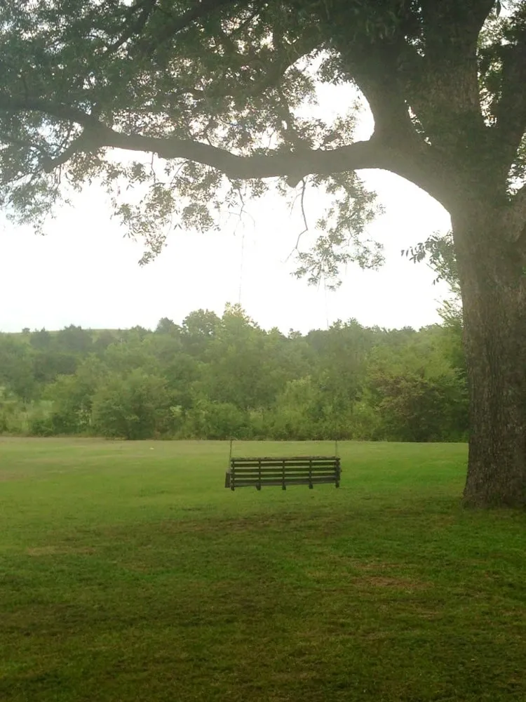 Affordable yard cleanup service in Ardmore, OK - Marcum's Nursery