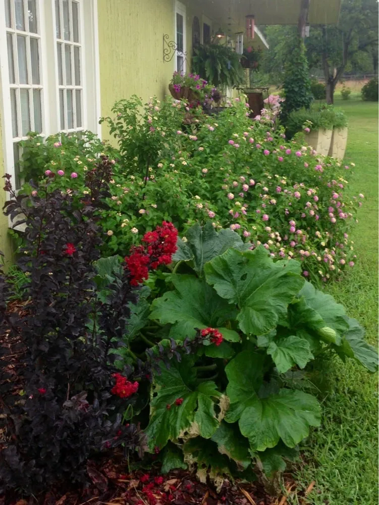 Top-rated yard cleanup service in Ardmore, OK - Marcum's Nursery