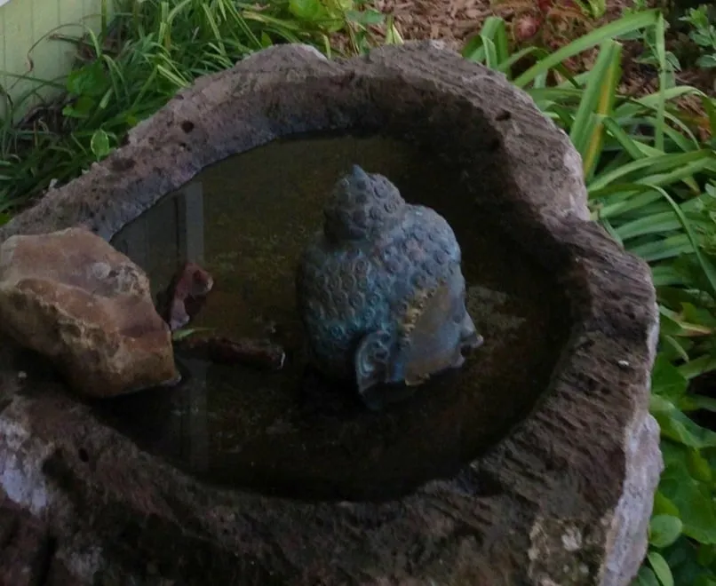 Trusted lawn care service in Ardmore, OK by Marcum's Nursery