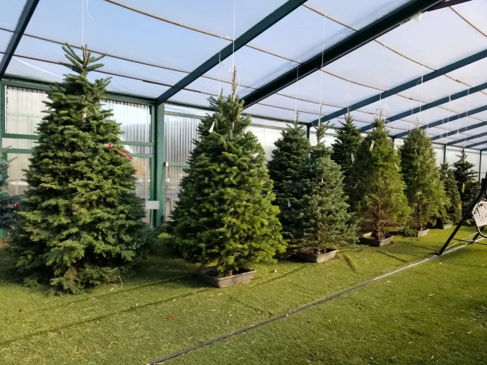 Trusted residential landscaping for residential properties in Ardmore, OK by Marcum's Nursery