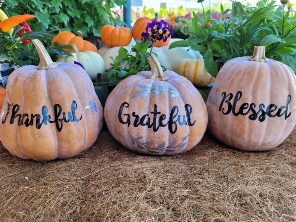 Custom landscaping services in Ardmore, OK - Marcum's Nursery