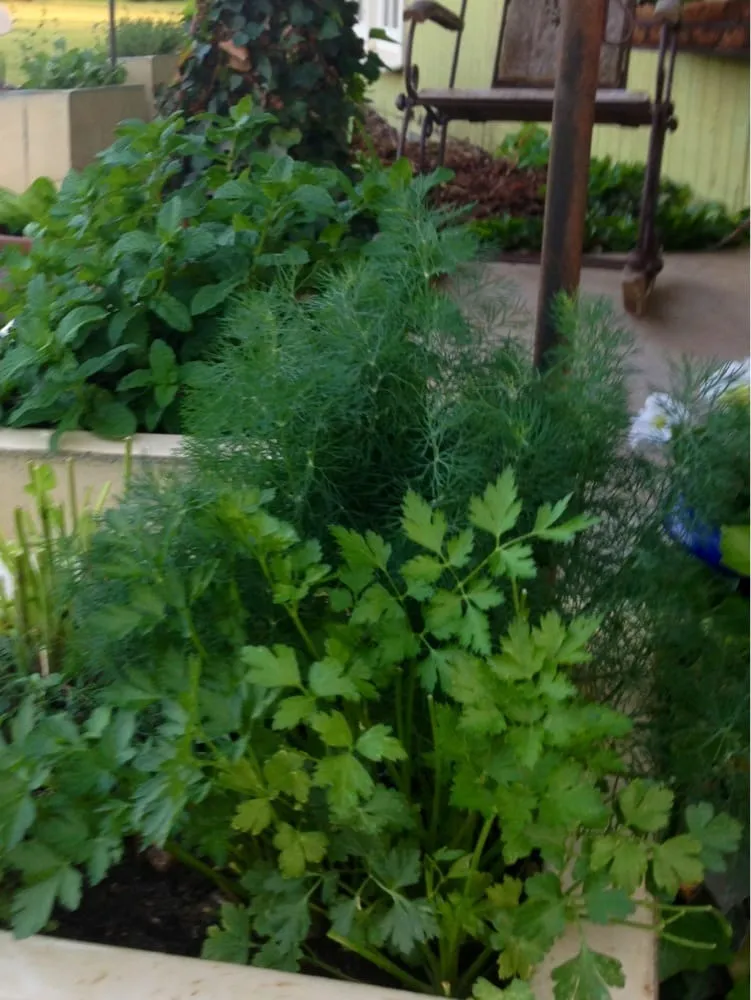 Expert landscape design for residential properties across Ardmore, OK - Marcum's Nursery