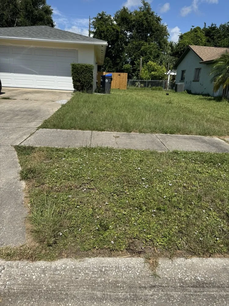 Professional yard cleanup service experts serving Titusville, FL - Marcus & Sons Landscaping