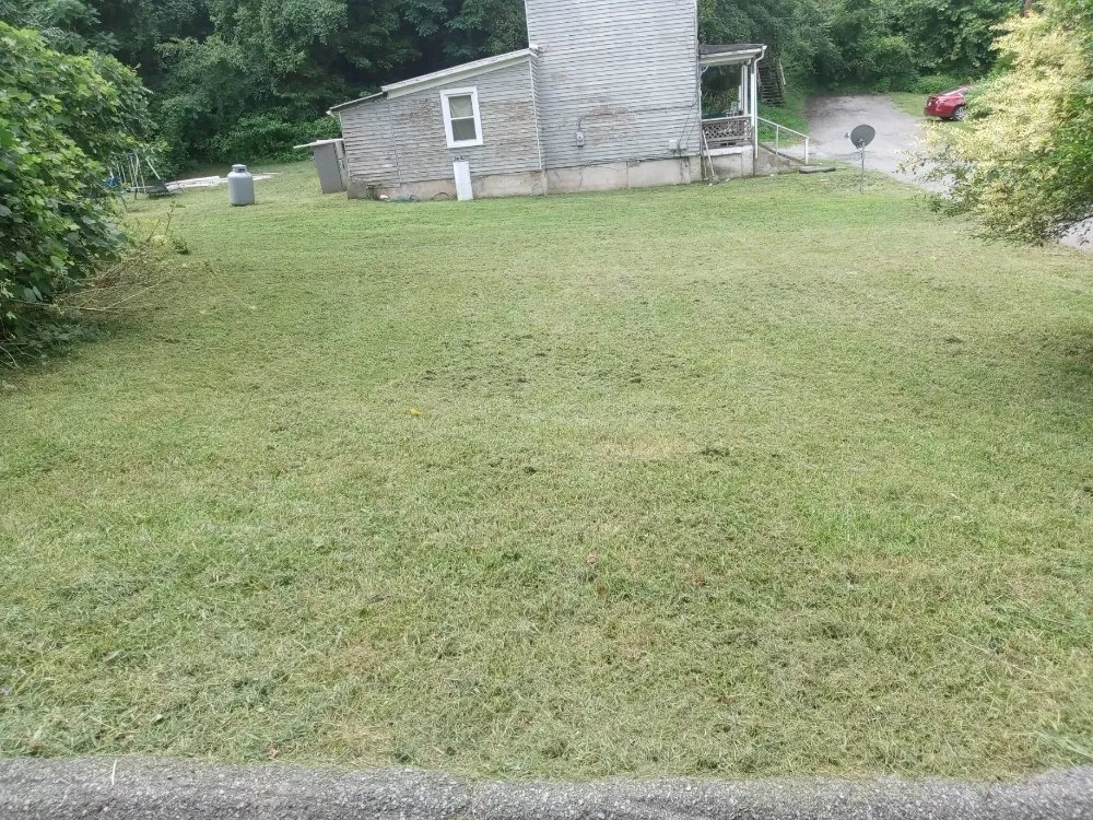 Top-rated yard maintenance in Lynchburg, VA by Marcus Cashwell Lawncare