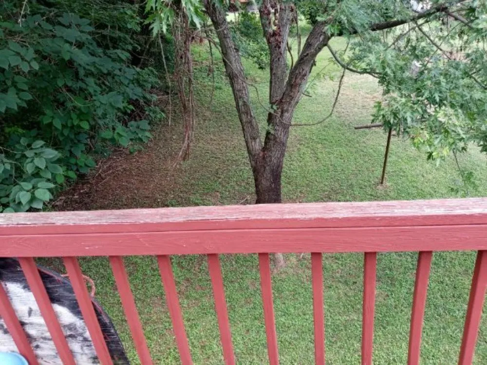 Custom yard maintenance for beautiful yards across Lynchburg, VA - Marcus Cashwell Lawncare