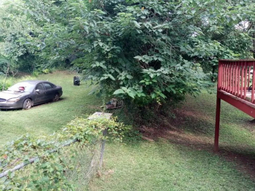 Expert lawn care service in Lynchburg, VA by Marcus Cashwell Lawncare