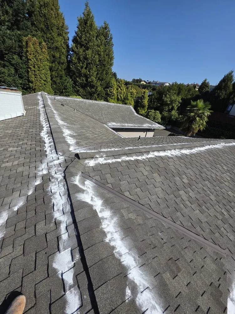 Custom residential landscaping for residential properties in Kirkland, WA by Marden Landscaping & Exterior Solutions