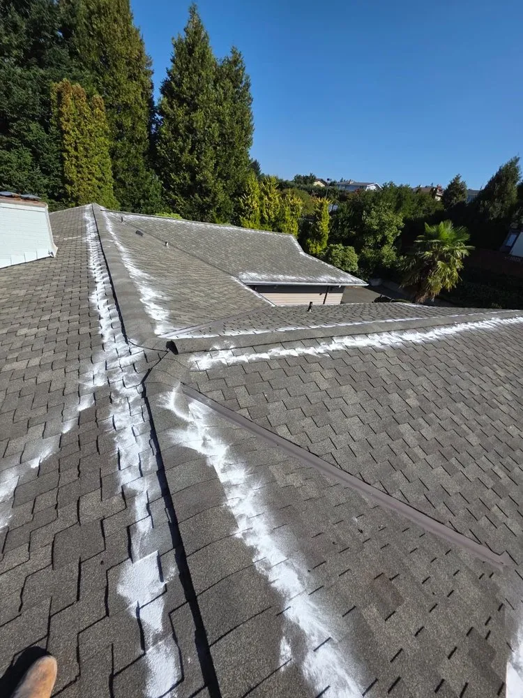 Reliable landscaping services for homes across Kirkland, WA - Marden Landscaping & Exterior Solutions