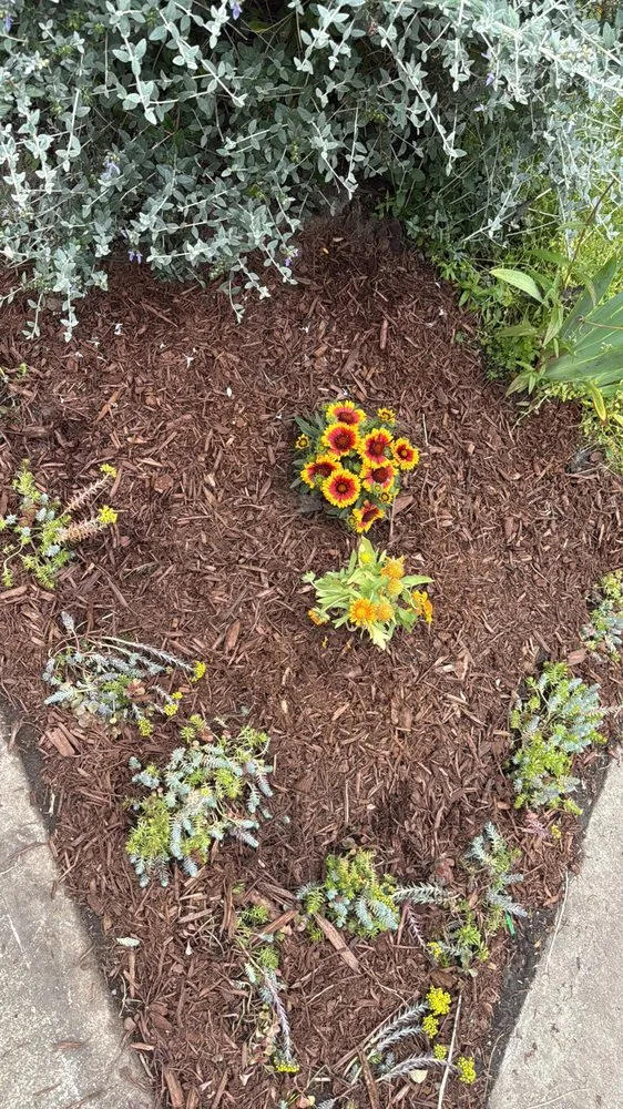 Top-rated residential landscaping with custom design in Kirkland, WA by Marden Landscaping & Exterior Solutions