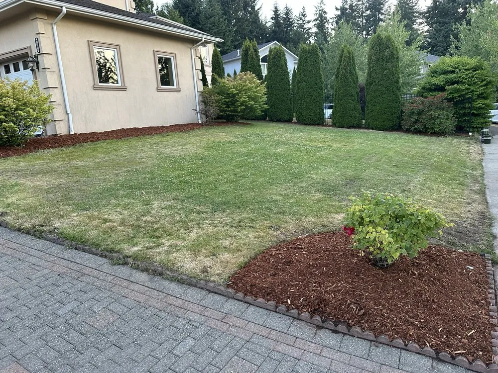 Affordable yard cleanup service with custom design across Kirkland, WA - Marden Landscaping & Exterior Solutions