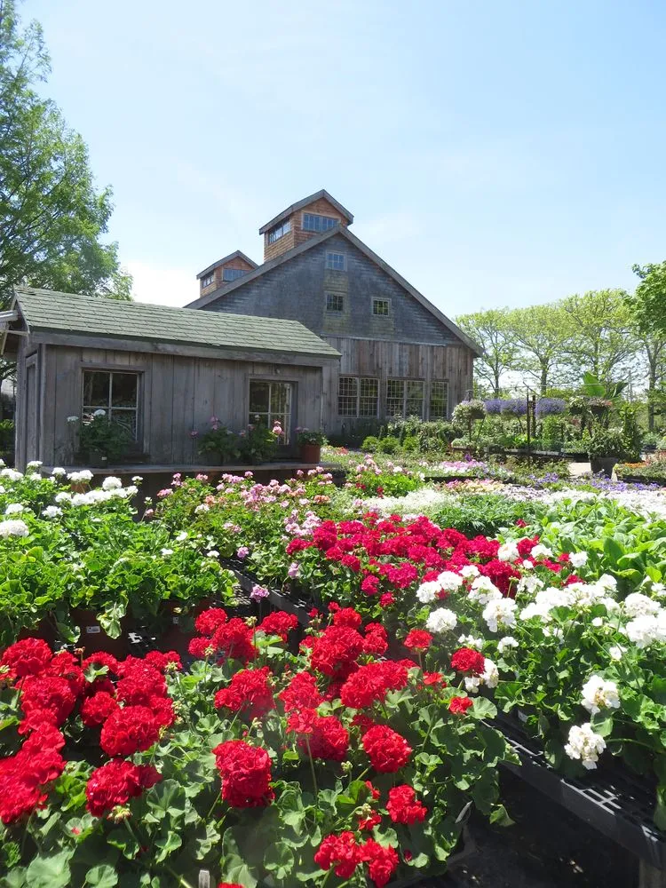 Local yard cleanup service near you across Bridgehampton, NY - Marders Garden Shop