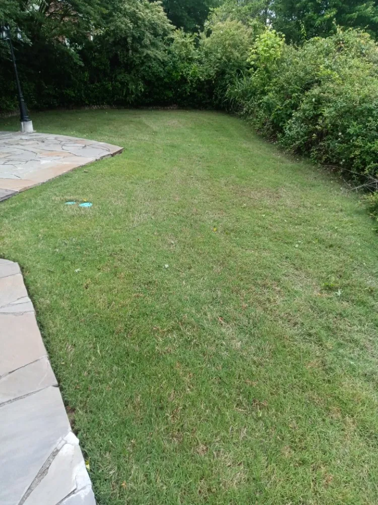 Custom yard maintenance experts serving Mason, TN - Mardreques Payton