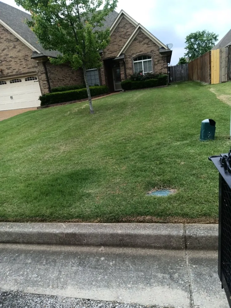Reliable yard maintenance near you across Mason, TN - Mardreques Payton