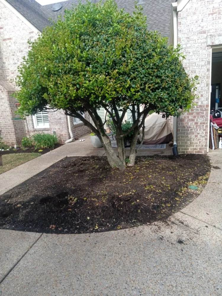 Reliable landscape installation near you across Mason, TN - Mardreques Payton