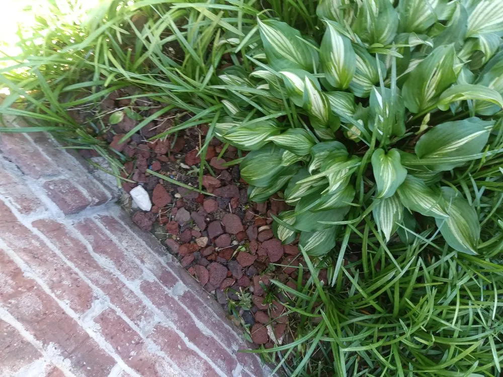 Expert landscape design in Mason, TN by Mardreques Payton