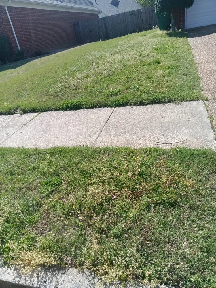 Professional landscaping services in Mason, TN by Mardreques Payton