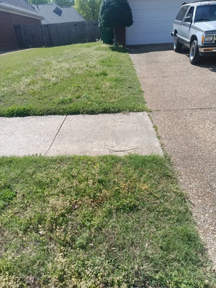 Affordable lawn mowing service experts serving Mason, TN - Mardreques Payton