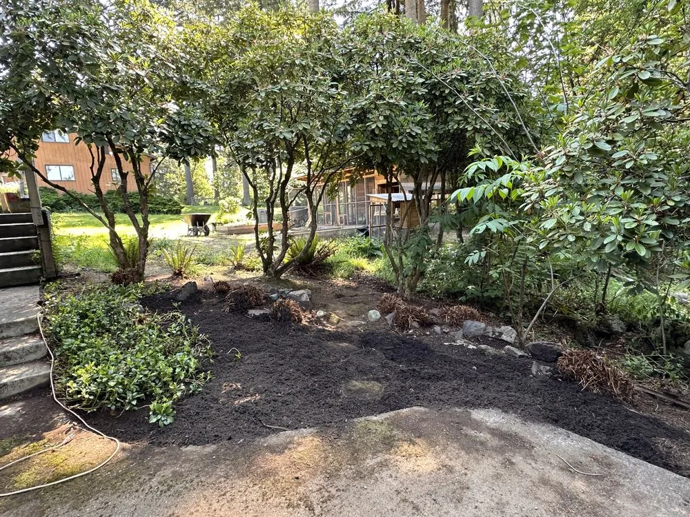 Local landscaping services experts serving Lynnwood, WA - Mard’s Services