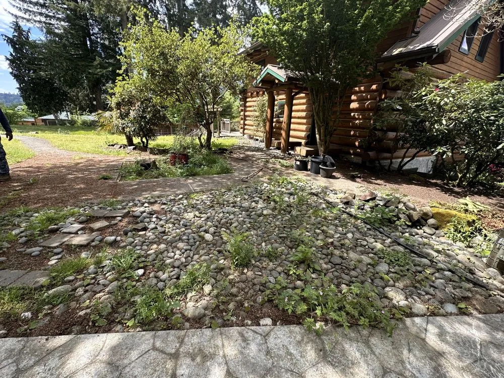 Local yard cleanup service experts serving Lynnwood, WA - Mard’s Services