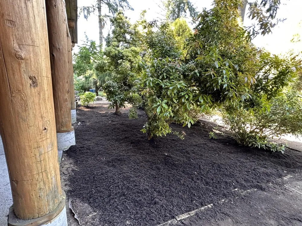 Top-rated landscape design near you across Lynnwood, WA - Mard’s Services