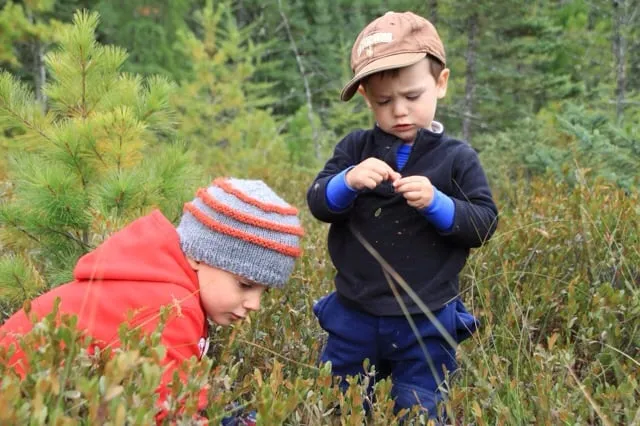 Professional lawn care service experts serving Milwaukee, WI - Marek Landscaping