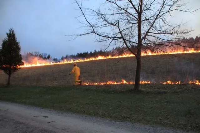 Top-rated lawn mowing service for outdoor upgrades across Milwaukee, WI - Marek Landscaping