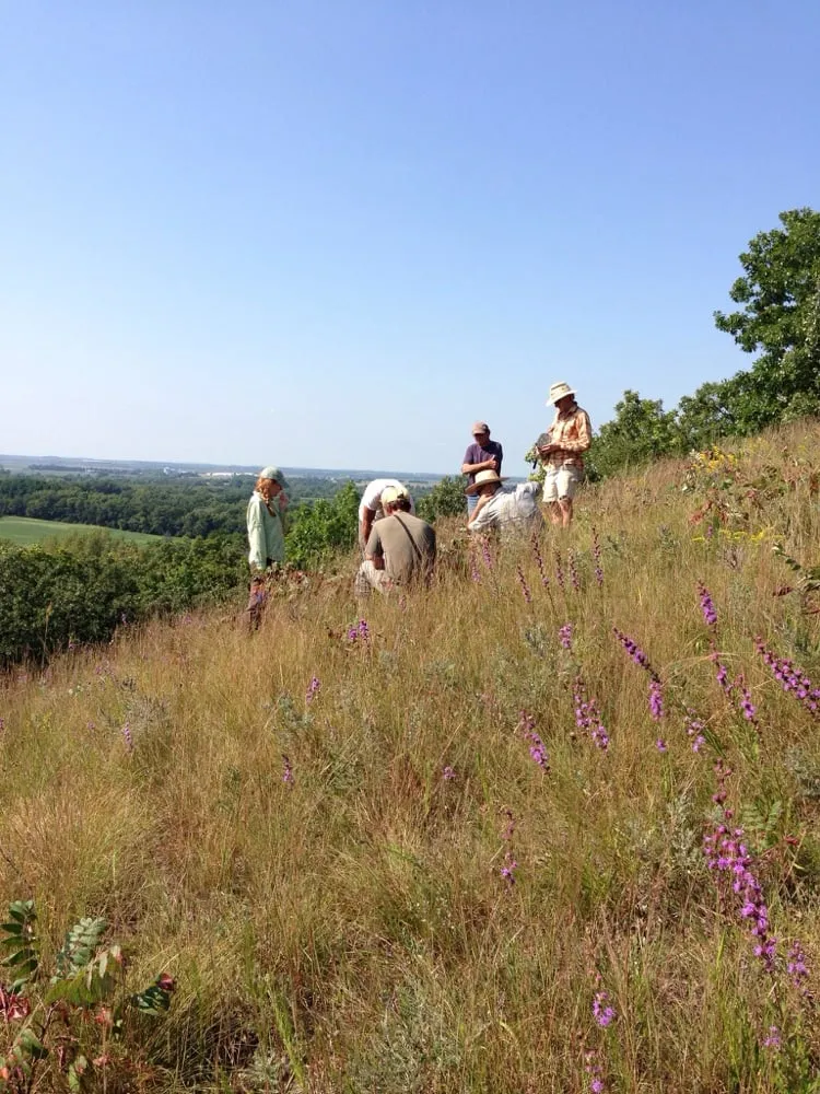 Reliable residential landscaping in Milwaukee, WI - Marek Landscaping