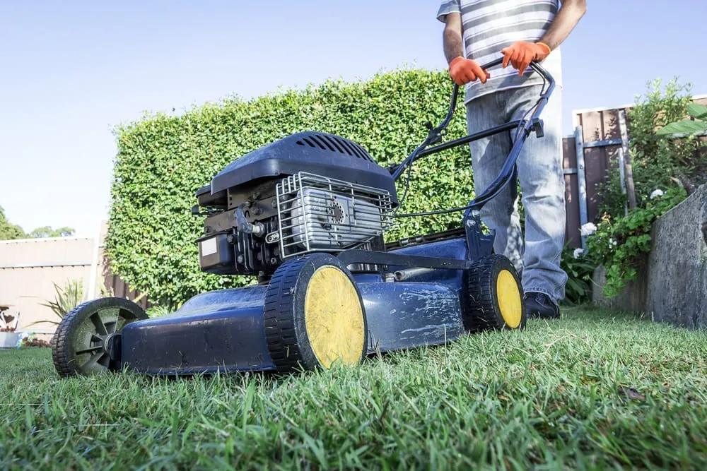 Trusted yard maintenance experts serving Canton, MI - Marek's Landcaping & Lawn Service