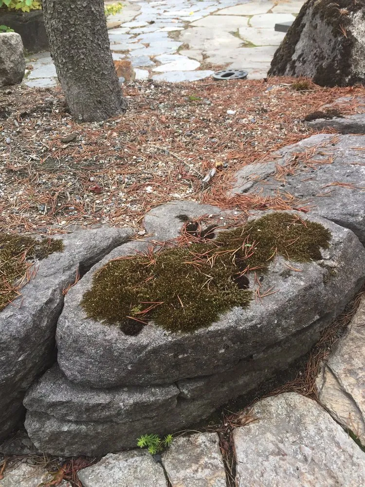 Top-rated yard cleanup service in Issaquah, WA by Marenakos Rock Center