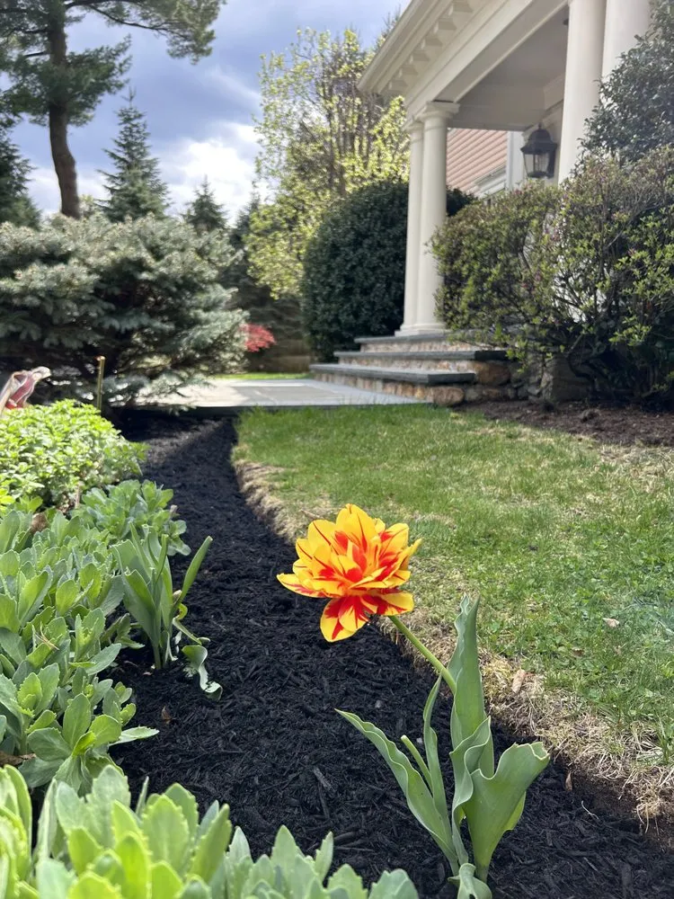 Expert lawn mowing service experts serving Lynn, MA - Marenco's Landscaping