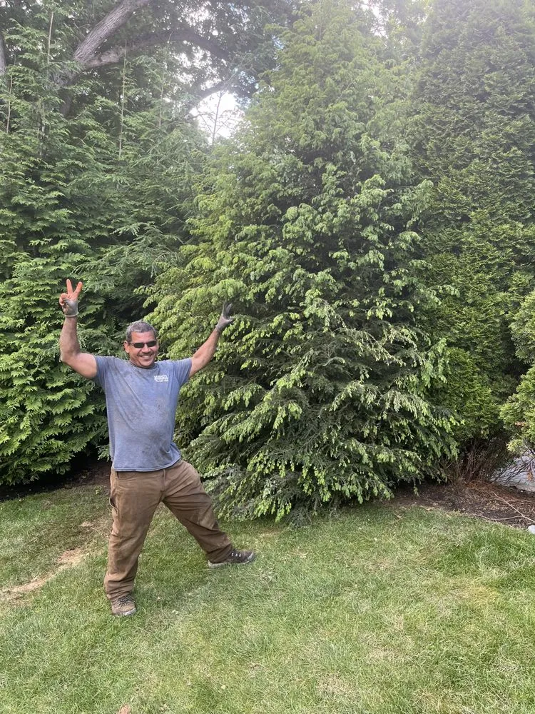 Trusted yard maintenance in Lynn, MA by Marenco's Landscaping