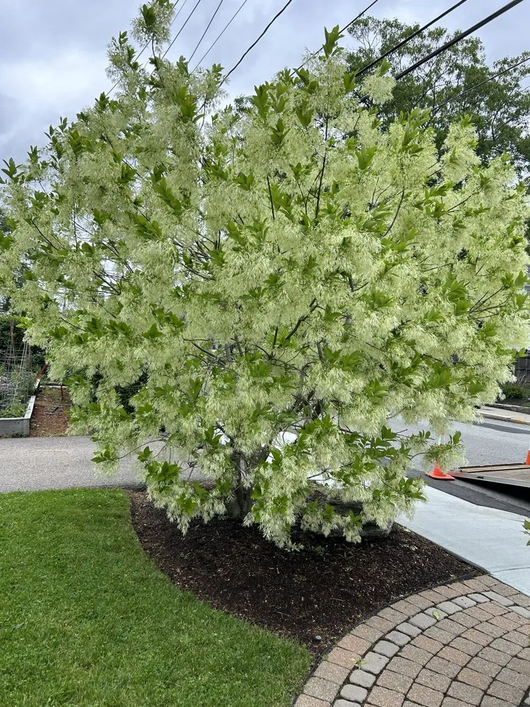 Trusted residential landscaping in Lynn, MA - Marenco's Landscaping