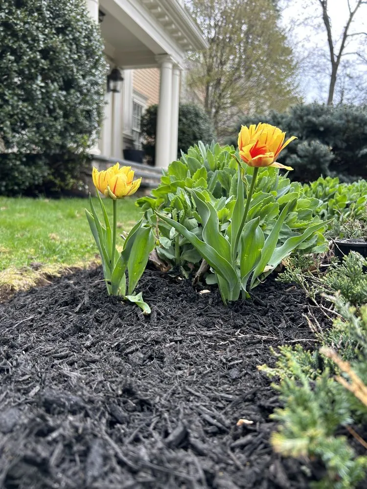 Professional landscape design in Lynn, MA - Marenco's Landscaping