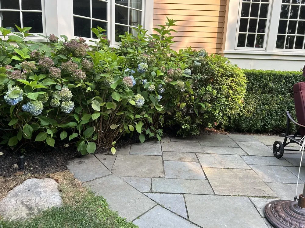 Custom yard cleanup service in Lynn, MA - Marenco's Landscaping