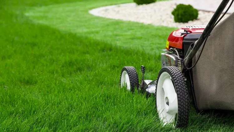 Reliable landscape installation for year-round maintenance across Hanford, CA - Mares Lawn Care Service