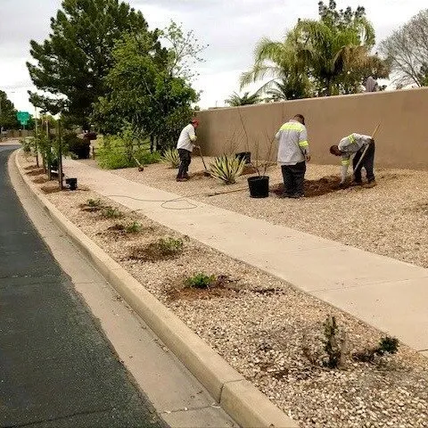 Top-rated landscape installation in Hanford, CA - Mares Lawn Care Service