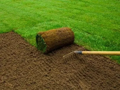 Local yard cleanup service near you in Hanford, CA by Mares Lawn Care Service