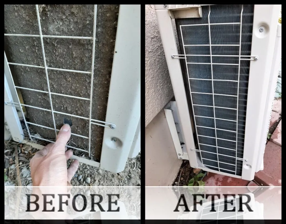 Expert yard cleanup service experts serving Mountlake Terrace, WA - Mares Services