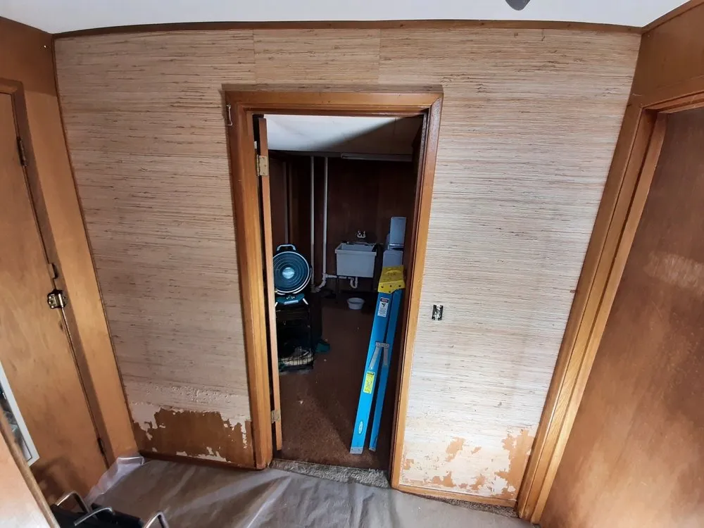 Local yard maintenance for outdoor upgrades in Mountlake Terrace, WA by Mares Services