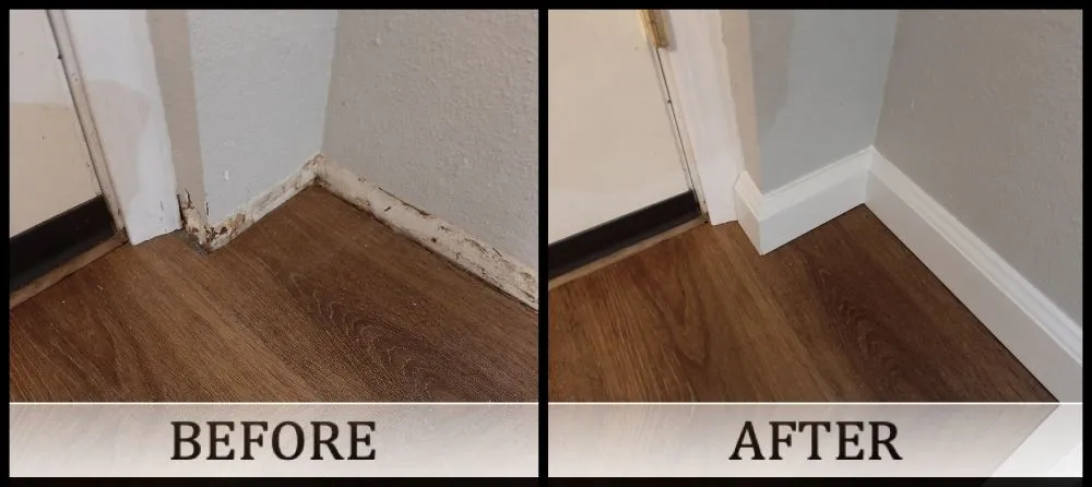 Trusted yard cleanup service for beautiful yards in Mountlake Terrace, WA by Mares Services