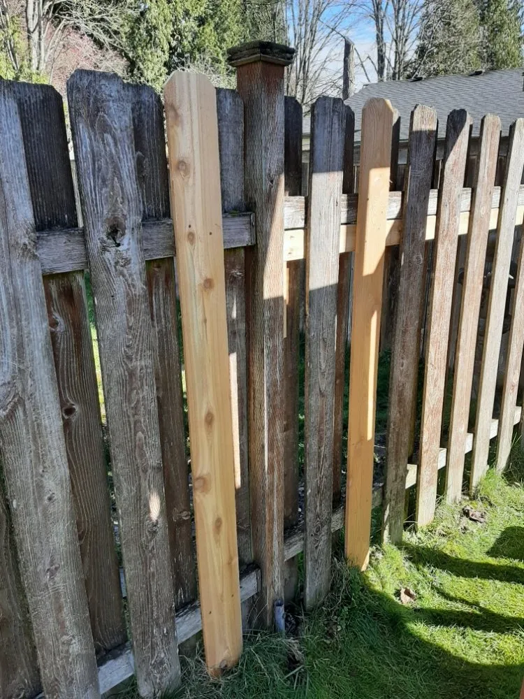 Expert residential landscaping in Mountlake Terrace, WA - Mares Services