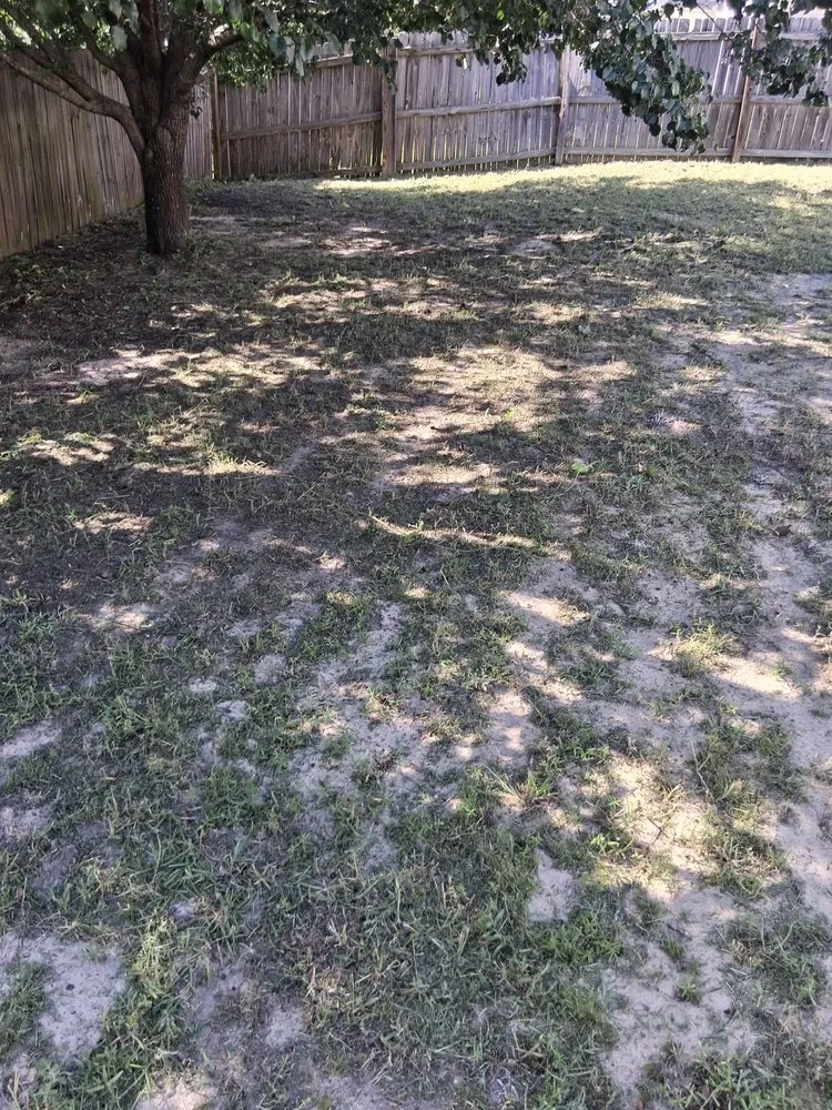 Trusted lawn mowing service experts serving Fayetteville, NC - Margaret Lawn Service