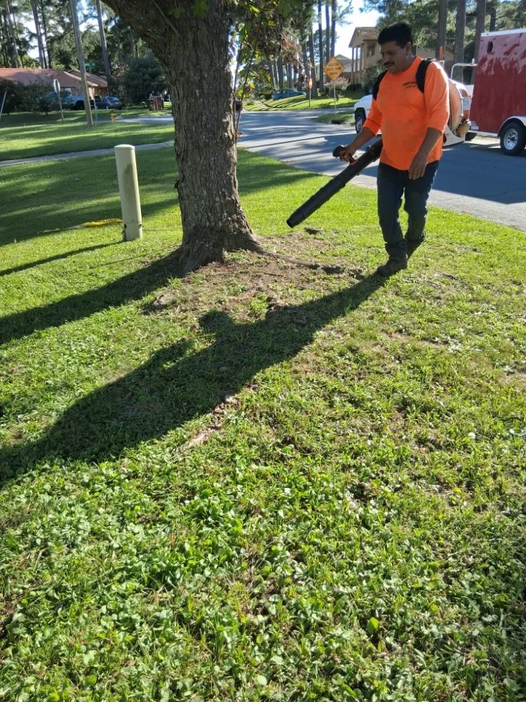 Top-rated yard maintenance in Fayetteville, NC - Margaret Lawn Service