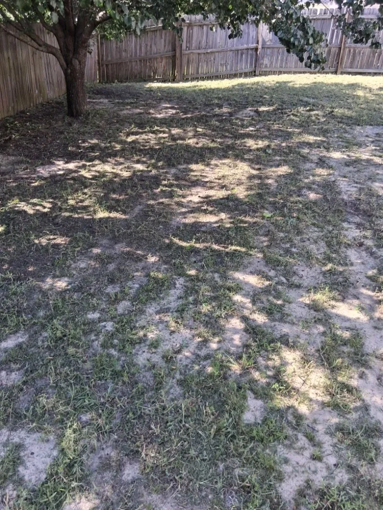 Expert yard maintenance for beautiful yards across Fayetteville, NC - Margaret Lawn Service