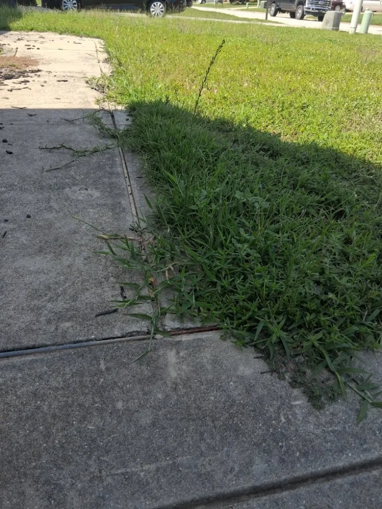 Custom outdoor landscaping in Fayetteville, NC by Margaret Lawn Service