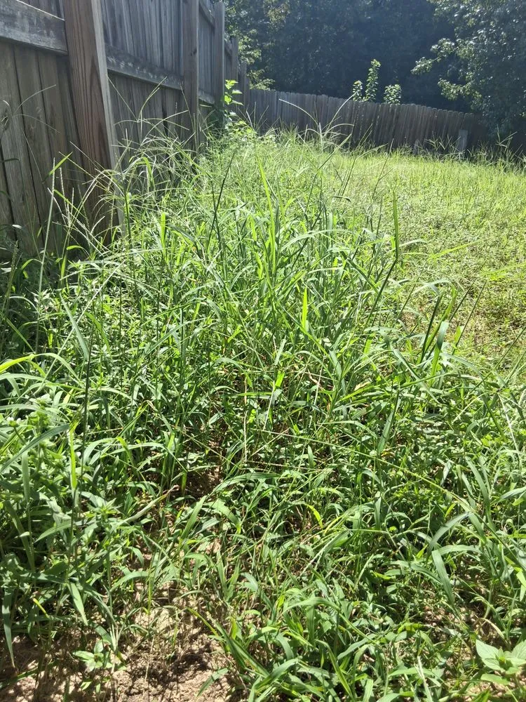 Trusted landscape design with custom design across Fayetteville, NC - Margaret Lawn Service