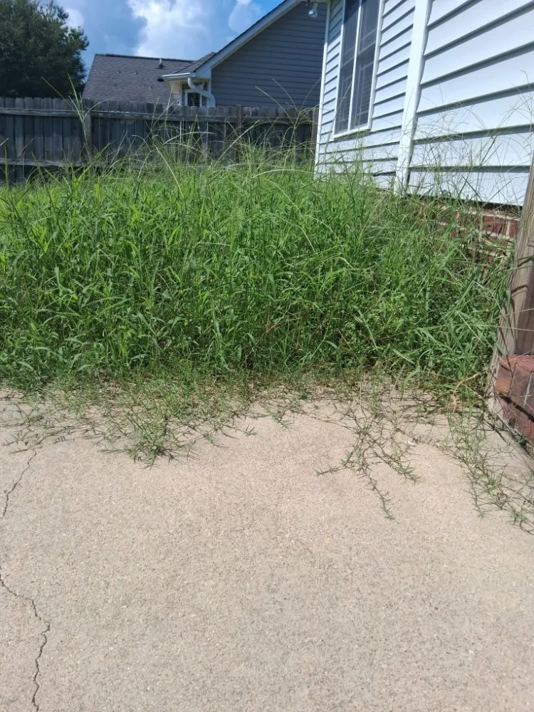 Reliable outdoor landscaping for homes across Fayetteville, NC - Margaret Lawn Service