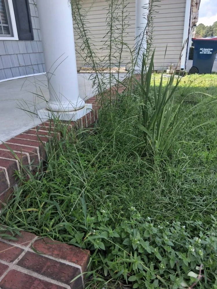 Professional outdoor landscaping experts serving Fayetteville, NC - Margaret Lawn Service